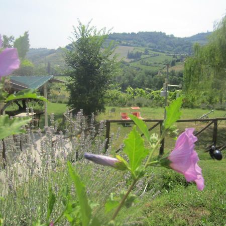 Le Spighe Agriturismo Cesena Extérieur photo