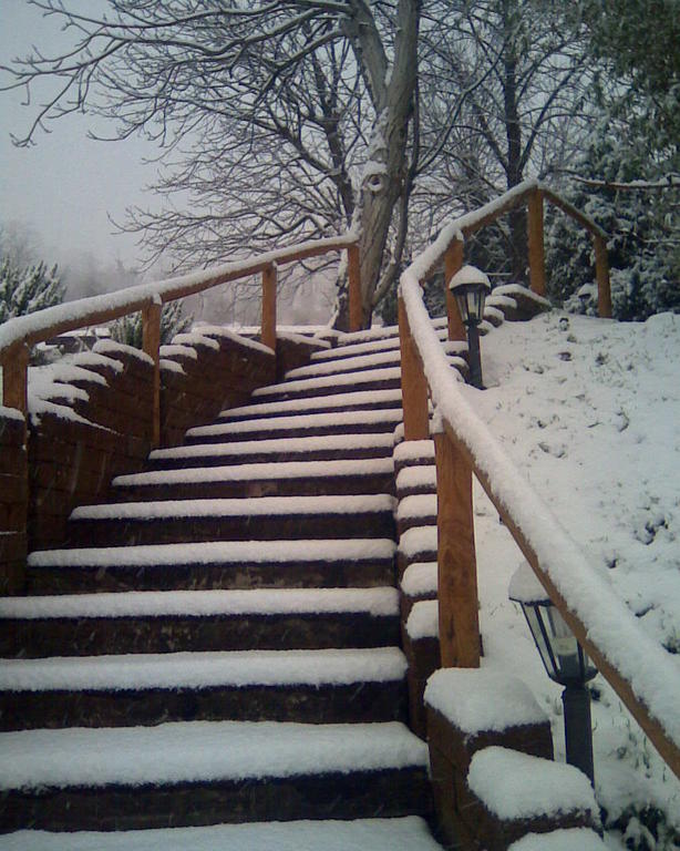Le Spighe Agriturismo Cesena Extérieur photo