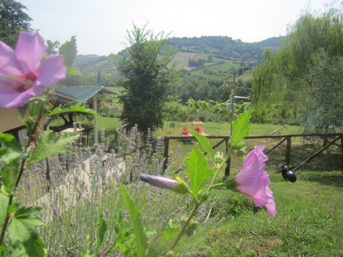 Le Spighe Agriturismo Cesena Extérieur photo
