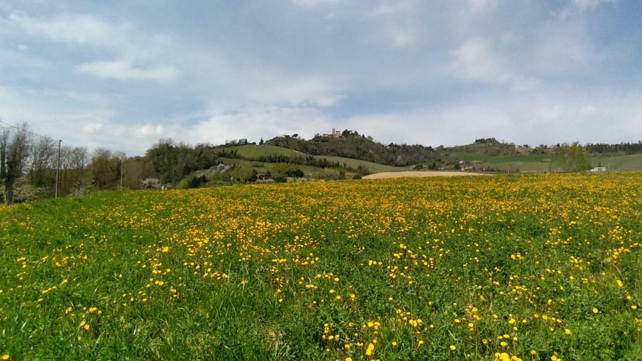 Le Spighe Agriturismo Cesena Extérieur photo