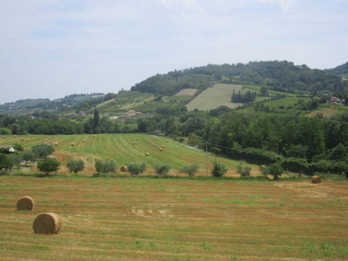 Le Spighe Agriturismo Cesena Extérieur photo