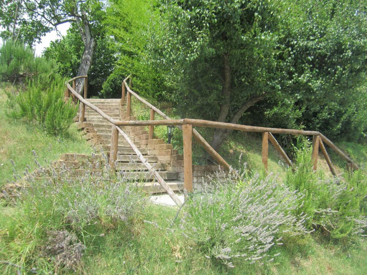 Le Spighe Agriturismo Cesena Extérieur photo